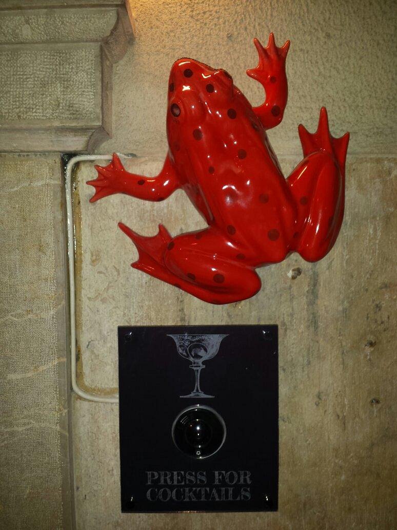 Red Frog